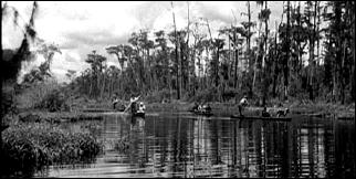 SWAMP WATER
